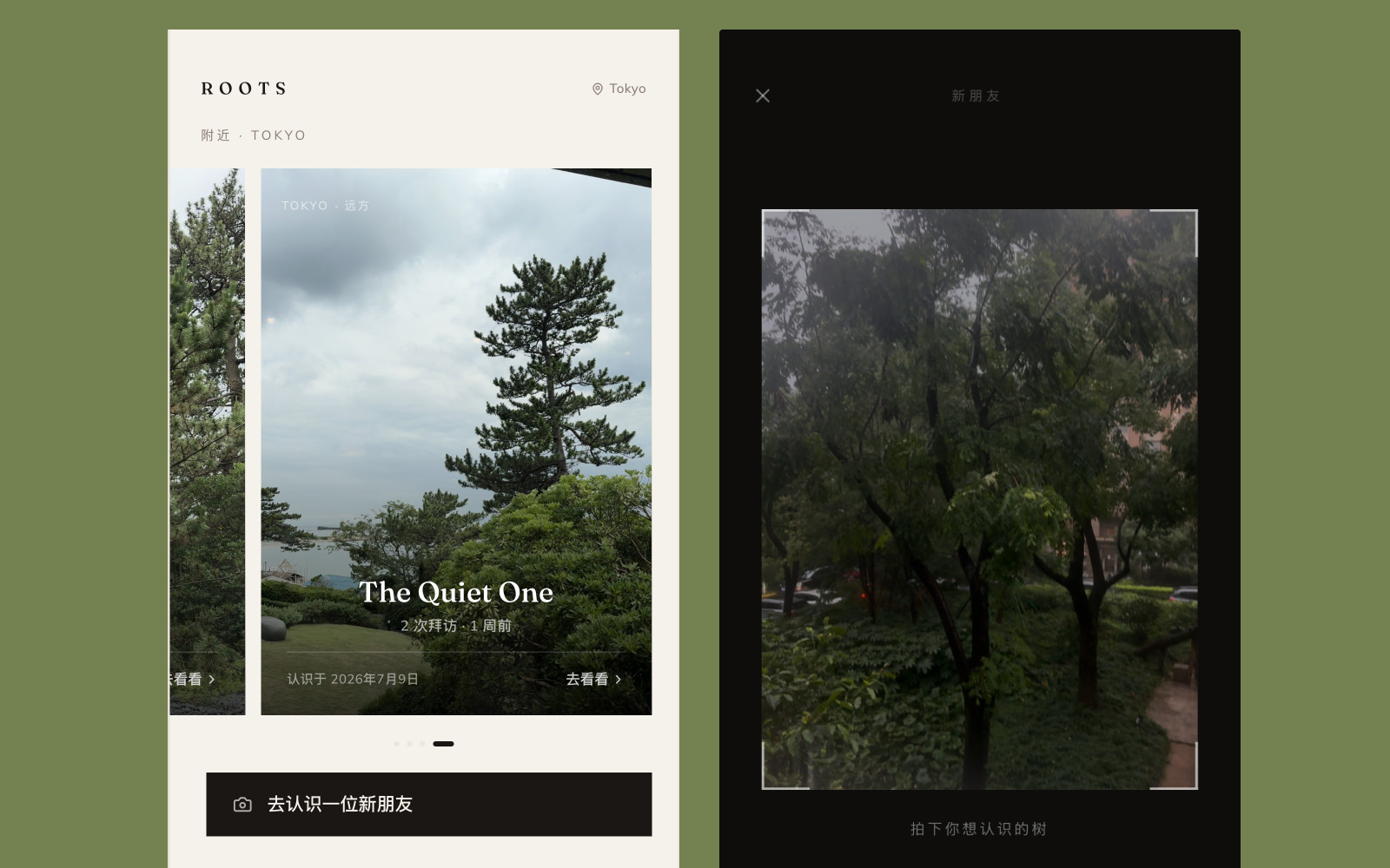 我的大树朋友 cover